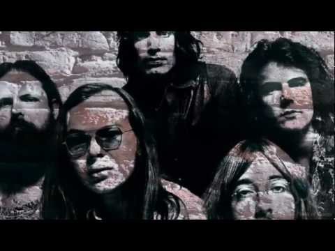 STEELY DAN - Do It Again