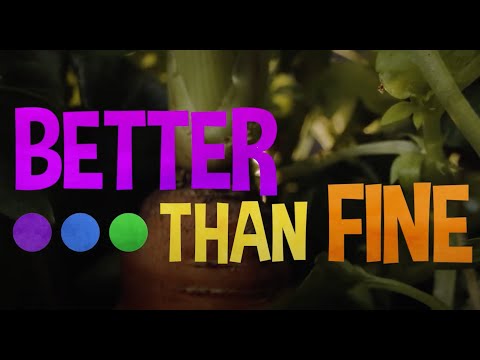 Better Than Fine'