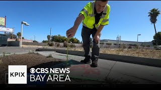 San Jose homeowners on the hook for sidewalk repair adjacent to their property
