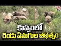 Two Elephants Hal Chal At Kuppam | Andhra Pradesh | V6 News