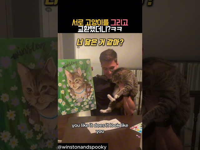 서로 고양이를 그리고 교환했더니? #유머 #동물 #고양이
