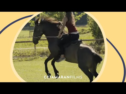 Aus Liebe zum Mustang'
