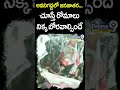 అవనిగడ్డలో జనజాతర చూస్తే రోమాలు నిక్క బోరవాల్సిందే | Pawan Kalyan | Prime9 News