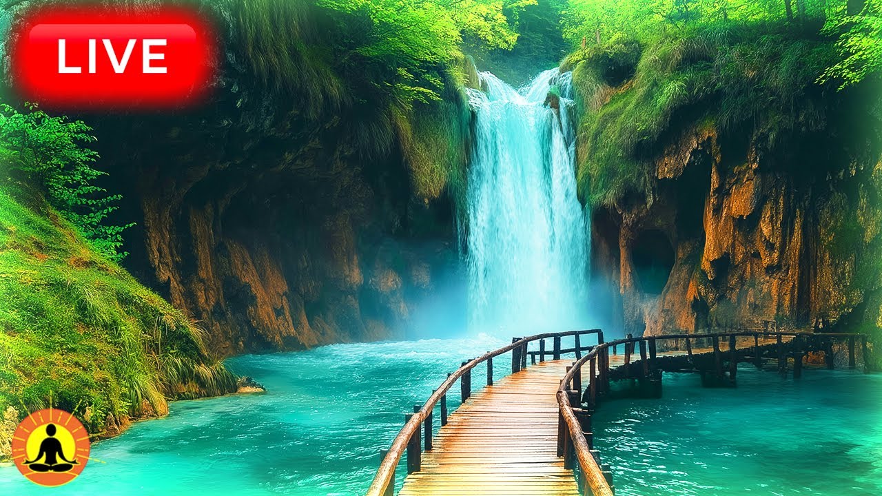 🔴 Spa Music with Water Sounds 24/7 🪷3343, Stress Relief Music, Relaxation Music, Massage Music, Zen