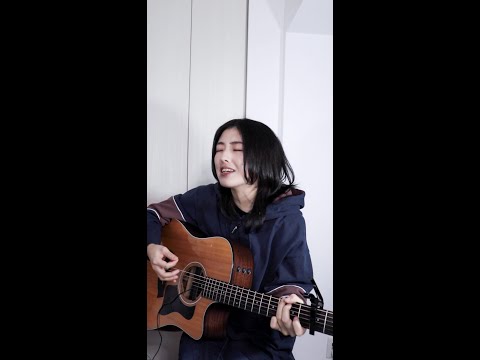 猫 / DISH//(short ver.)Covered by kino.【弾き語りカバー】