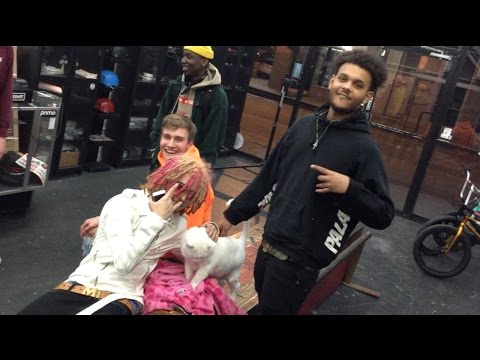 LIL PUMP AND SMOKEPURPP STOLE MY CAT #FREEX