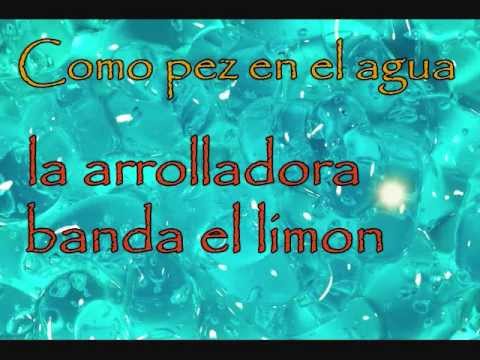 Como pez en el agua - La arrolladora (Letra)