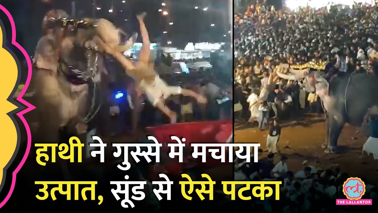 Kerala के Malappuram में Elephant को अचानक आया गुस्सा, शख्स को हवा में उछालकर पटका। Viral Video