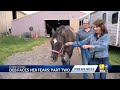 Facing her fears, Deb tries walking, washing a horse(WBAL) - 03:42 min - News - Video