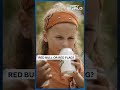 Red Bull Or Red Flag? Why The UK Just Banned Energy Drinks For Kids  - 02:47 min - News - Video