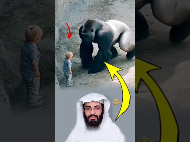 الحيوان الذي يخافه الجميع، قد يكون أرحم من إنسان تجرد قلبة من الرحمة.»🥺👍🏻#لايك #اكسبلور #shorts