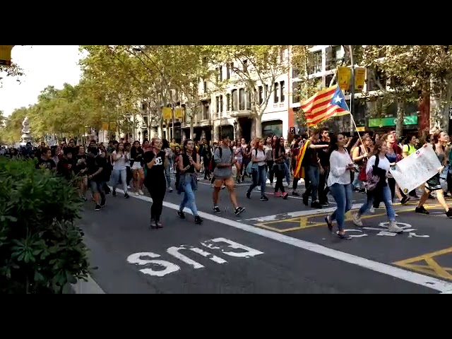 Previa Youtube Previa Youtube