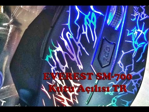 EVEREST SM-700 Gaming Mouse (Türkçe)