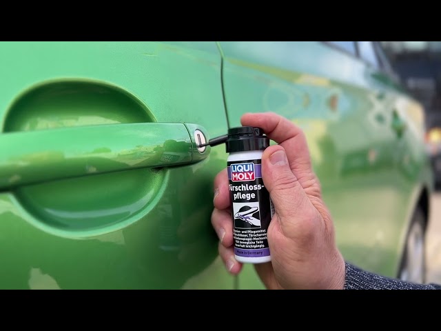 Liqui Moly Türschloss-Pflege Enteiser Spray Smierung Pflegemittel 50 ml