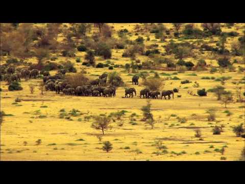 Great Migrations'