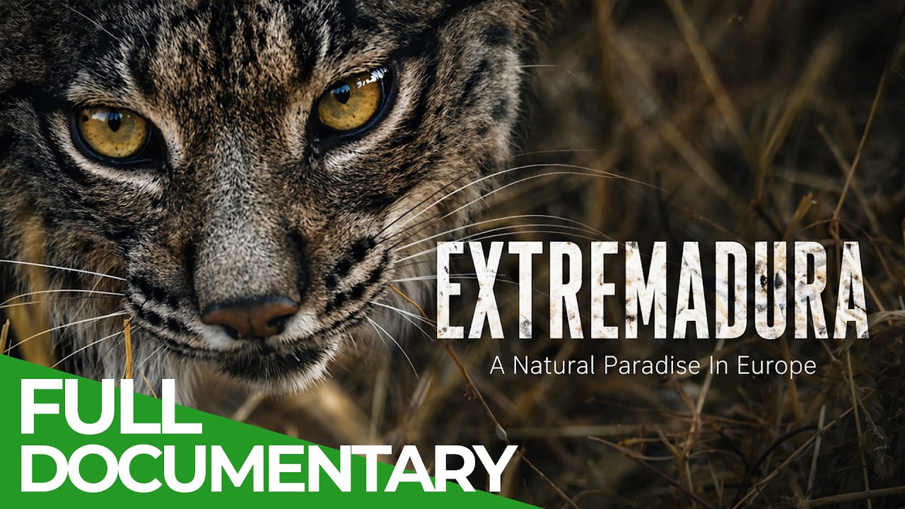 Extremadura: A Natural Paradise In Europe | Free Documentary Nature