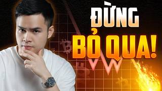 3 Quy Luật Bắt ĐỈNH ĐÁY 2026: Dòng Tiền Đầu Tư Đang Chảy Về Đâu?