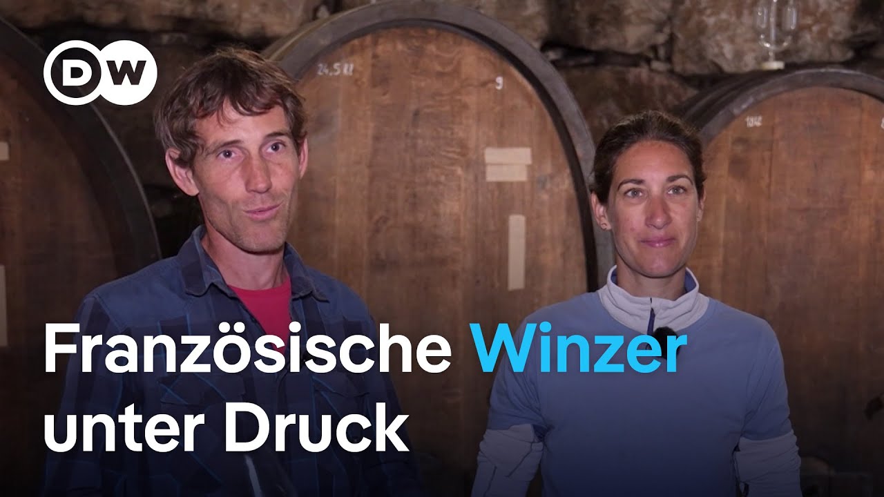 Wie sich US-Zölle auf französischen Weinhersteller auswirken | DW Nachrichten
