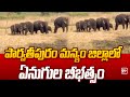 పార్వతీపురం మన్యం జిల్లాలో ఏనుగుల బీభత్సం | Elephants in Parvathipuram Manyam district | 99tv