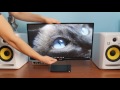 MUY BUEN MONITOR IPS BARATO | LG 23MP75HM-P | Review en Espanol