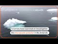 Scientists launch probe into microplastics in Antarctic | REUTERS  - 00:54 min - News - Video