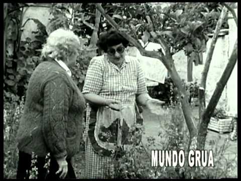 Mundo grúa'