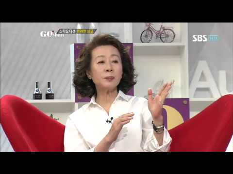 고현정 성형