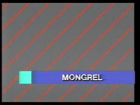 Mongrel'