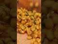 Its high time you add this snack to your favourites list! 😍👆🏻 #ytshorts