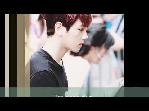 EXO's Ideal Types: Detailed