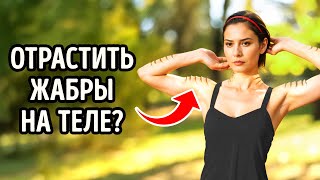 Что, если бы люди были холоднокровными? Предполагаемая анатомия человека