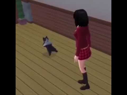 Upload mp3 to YouTube and audio cutter for Sims cat break-dancing download from Youtube