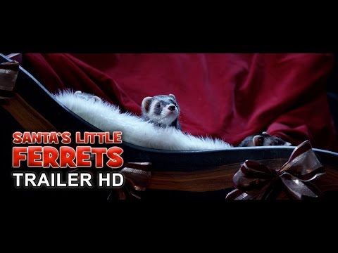Santa's Little Ferrets'
