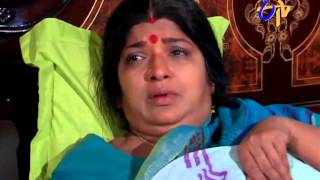 telugu-serials-video-27839-Bharyamani Telugu Serial Episode : 1563, Telecasted on :22/04/2014 telugu-serials-video-27839-Bharyamani Telugu Serial Episode : 1563, Telecasted on :22/04/2014