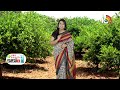 అధిక దిగుబడినిచ్చే నిమ్మ రకాలు -సాగులో మెళకువలు |Best Varieties for Lemon Cultivation |Matti Manishi  - 05:35 min - News - Video