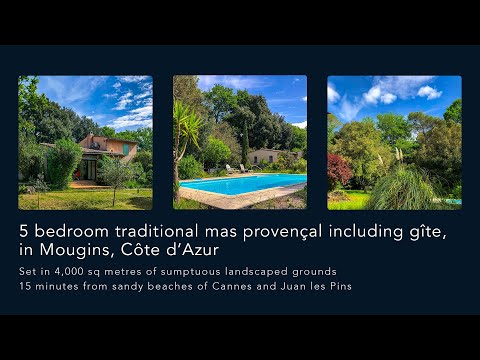 Property video