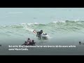 Surfs up for the Jack Russell terrier that loves to surf the waves of Peru  - 01:00 min - News - Video