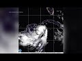 Florida prepares for possible hurricane