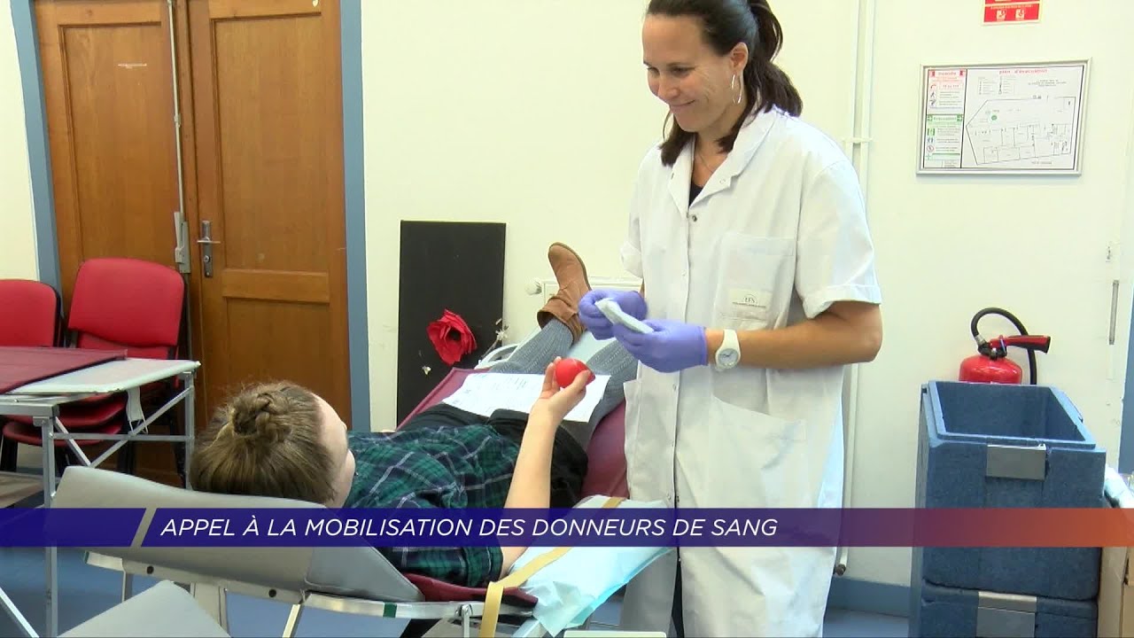 Yvelines | Appel à la mobilisation des donneurs de sang