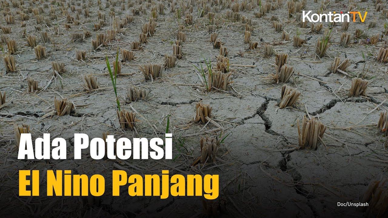 Ada Potensi El Nino Panjang Ini Yang Dilakukan Kementan Kontan News