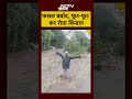 150 एकड़ खेती को भारी नुकसान, बर्बाद फसल को देख कर रोता किसान | Maharashtra | #viralvideo #shorts  - 00:50 min - News - Video