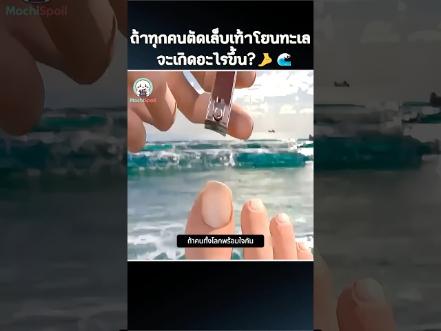 ถ้าทุกคนตัดเล็บเท้าโยนทะเล จะเกิดอะไรขึ้น? 🌊 #shorts #funfacts #เรื่องจริงสุดฮา