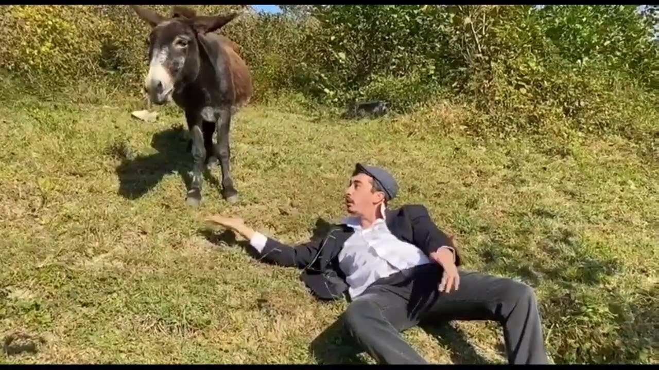 Скачать Каха Видео Новый Год Скачать Каха Видео Новый Год
