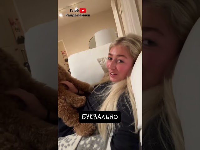 Голдендудль. Собака Похожая на Человека 👀