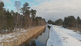 Miniatura video
