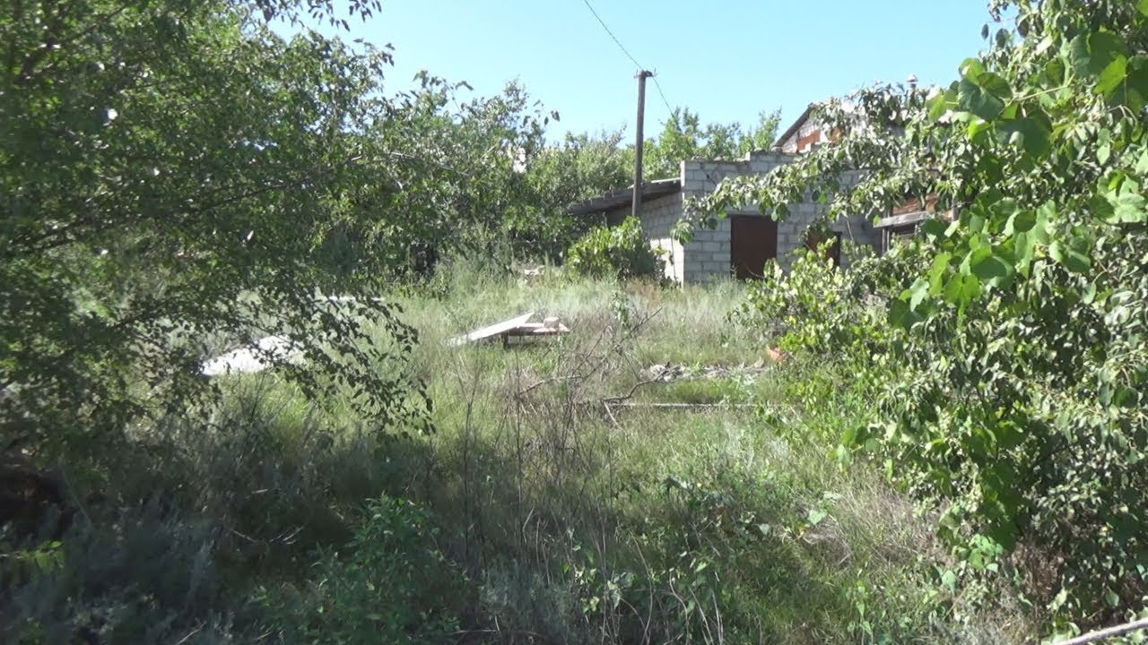 Волгоградцы бросают дачи из-за нехватки воды