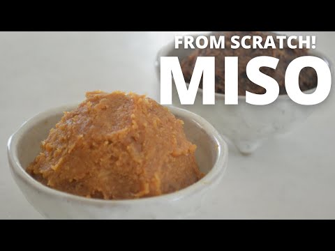 How to make ★Homemade MISO★from scratch!~みその作り方~(EP79)