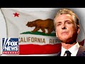 Gavin Newsom is a scam artist: David Webb