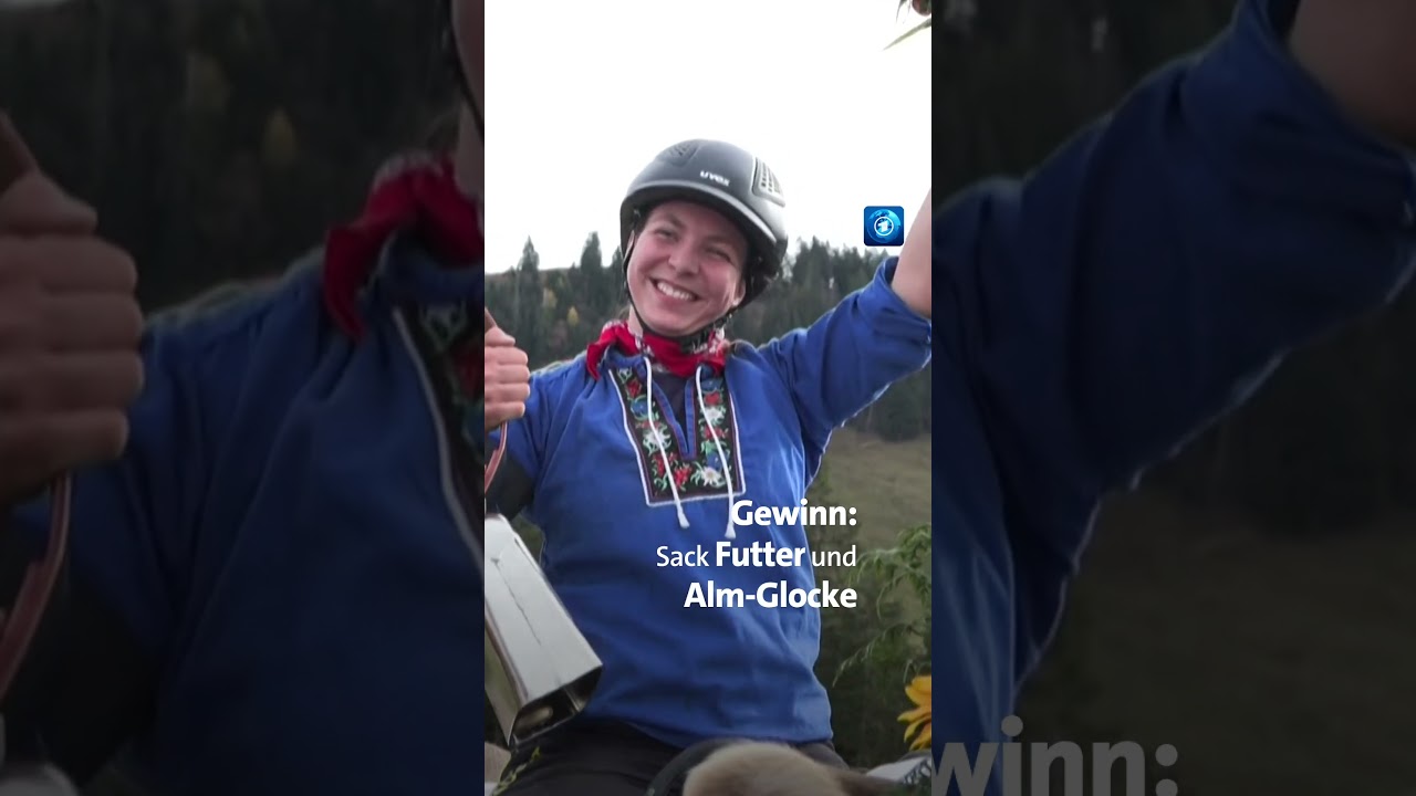 In den Schweizer Bergen treten 9 Kühe mit 9 Reiterinnen gegeneinander ein kuh tagesschau shorts