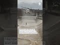 Los Angeles firefighters rescue man who was trying to save dog from rushing water  - 00:35 min - News - Video